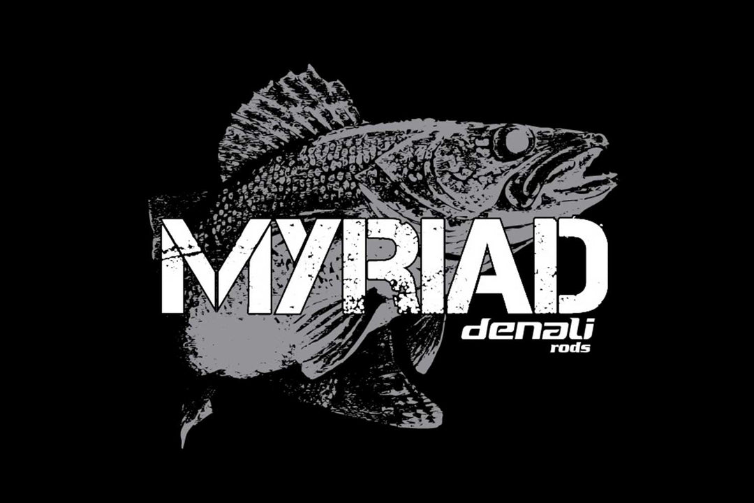 8" Myriad Fish Decal